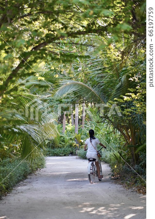 馬爾代夫騎自行車 66197759
