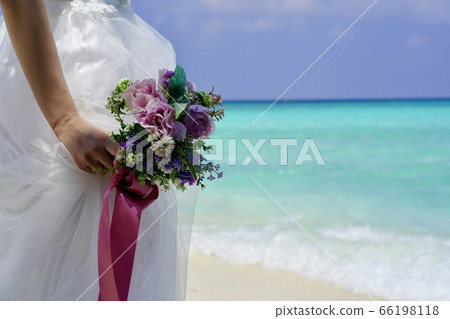 馬爾代夫花束 馬爾代夫花束 66198118