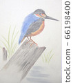 Standing kingfisher 66198400