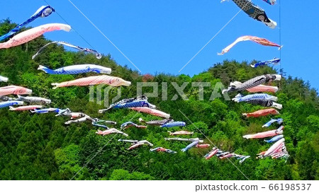大量的鯉魚飄帶在蔚藍的天空中游泳 大量的鯉魚飄帶在蔚藍的天空中游泳 66198537