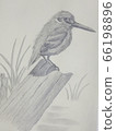 Standing kingfisher 66198896