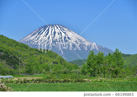 In the early summer of Hokkaido, we photographed the scenery of Satoyama and Mt. In the early summer of Hokkaido, we photographed the scenery of Satoyama and Mt. 66199863