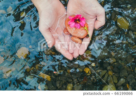 Conceptual photo showing a hand holding flowers over clear water to show harmony between human and nature, healing and mental health 66199866