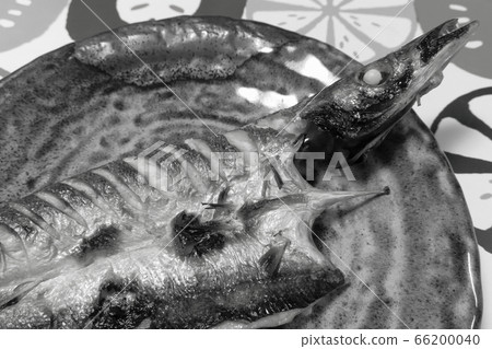 Home-made rustic home-cooked "Kamas salt grilled" 66200040