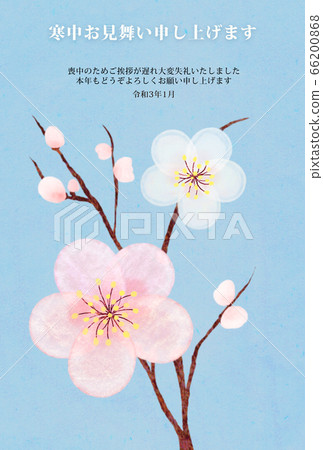 參觀寒冷的2021年_李子和藍天垂直 66200868