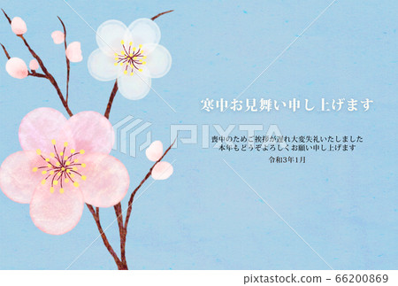 2021_Plum and blue sky-sideways 66200869