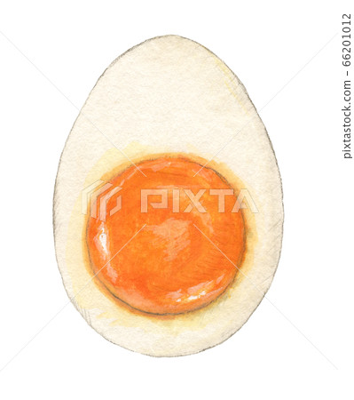 Cross-section of a half-boiled boiled egg, hand-painted watercolor 66201012