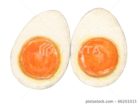 Cross-section of a half-boiled boiled egg, hand-painted watercolor Cross-section of a half-boiled boiled egg, hand-painted watercolor 66201015
