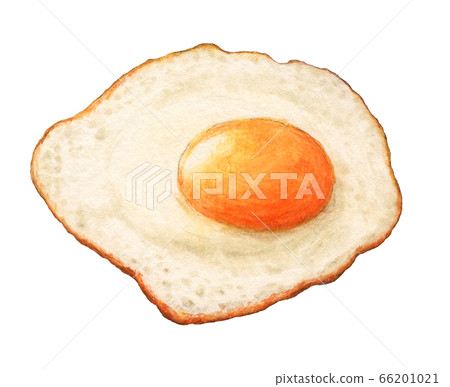 水煮蛋，手繪水彩 66201021