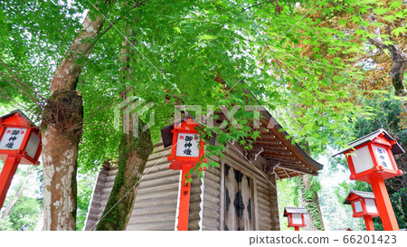 Hiyoshi Taisha Shrine red vermilion red and green maple 66201423