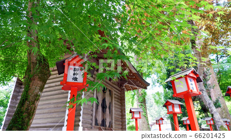 日吉大社神社紅朱紅色紅綠楓 66201425