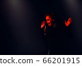 A jazz singer performs on stage. Afro. 66201915