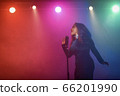 A jazz singer performs on stage. Afro. 66201990