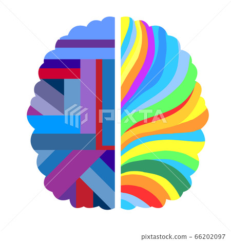 Left and right human brain 66202097