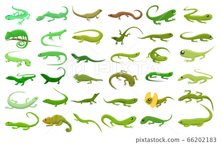 Lizard icons set, cartoon style 66202183