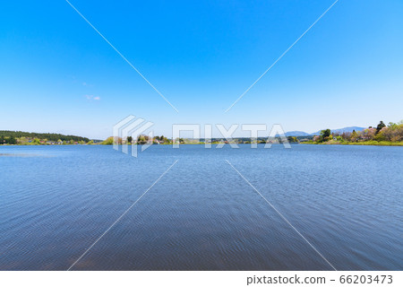 陽光池塘 66203473