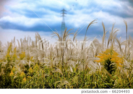 River landscape River landscape 66204493