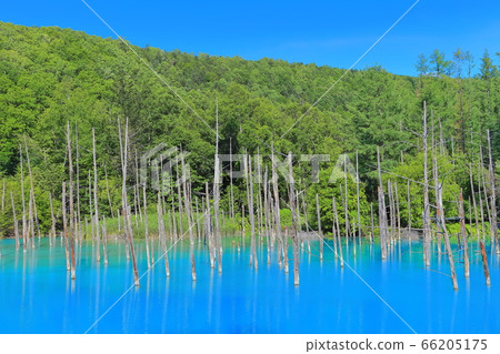 [Hokkaido] Aoi Pond under sunny summer, Biei Town 66205175