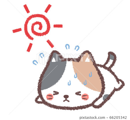 Sun and heatstroke calico cat 66205342