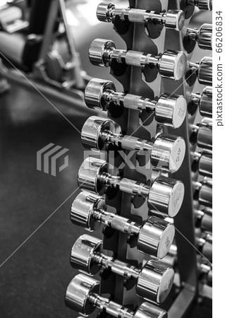 Set of different weight dumbbells in the gym Set of different weight dumbbells in the gym 66206834