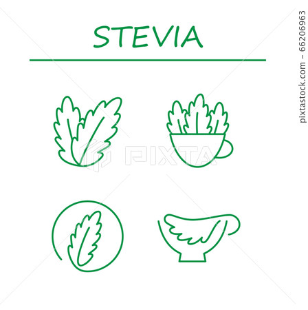 Stevia leaves icons. Natural stevia sweetener. Vector illustration. Stevia leaves icons. Natural stevia sweetener. Vector illustration. 66206963
