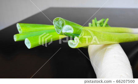 Green onion and radish crossed on the table (cross section up) 1590 Green onion and radish crossed on the table (cross section up) 1590 66207500