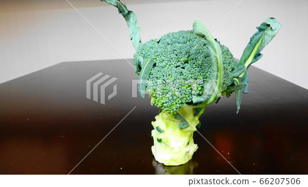 Broccoli 1572 on the table Broccoli 1572 on the table 66207506
