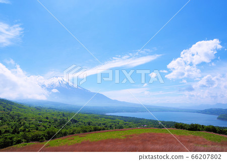 Mt. Fuji seen from Mikuni Pass Mt. Fuji seen from Mikuni Pass 66207802
