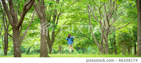 Girls playing in the forest Girls playing in the forest 66208174