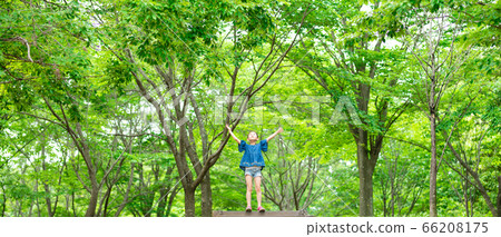 Girls playing in the forest Girls playing in the forest 66208175