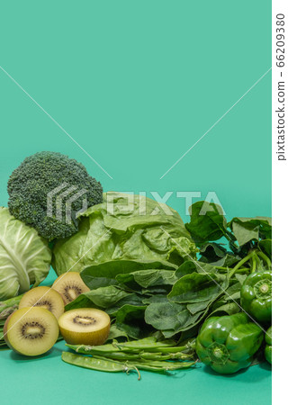 綠色和黃色蔬菜一套綠色蔬菜 綠色和黃色蔬菜一套綠色蔬菜 66209380