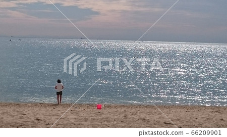 站在海灘上的女孩 站在海灘上的女孩 66209901