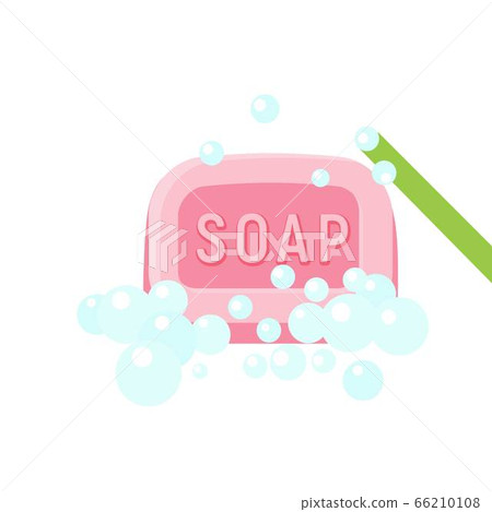 Wash soap icon, flat style 66210108