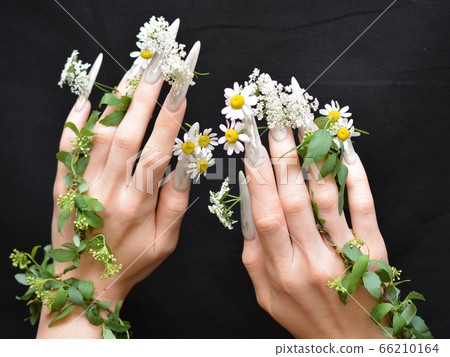 Nail art and flowers 66210164