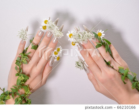 Nail art and flowers Nail art and flowers 66210166