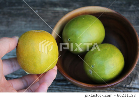 金拉坎卡 66211158