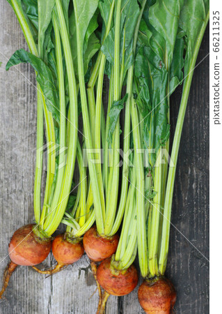 Beets with leaves Beets with leaves 66211325
