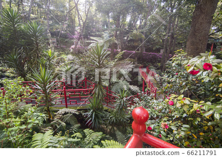 PORTUGAL MADEIRA FUNCHAL JARDIM TROPICAL PORTUGAL MADEIRA FUNCHAL JARDIM TROPICAL 66211791