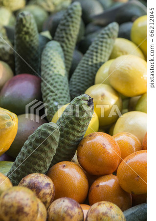 PORTUGAL MADEIRA FUNCHAL MERCADO LAVRADORES 66212045