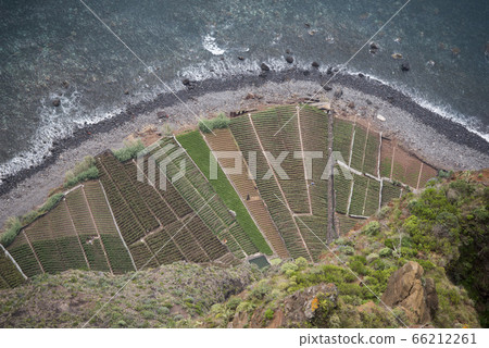 PORTUGAL MADEIRA PONTA DO SOL AGRICULTURE PORTUGAL MADEIRA PONTA DO SOL AGRICULTURE 66212261