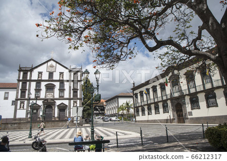 PORTUGAL MADEIRA FUNCHAL FLOWER CITY PORTUGAL MADEIRA FUNCHAL FLOWER CITY 66212317