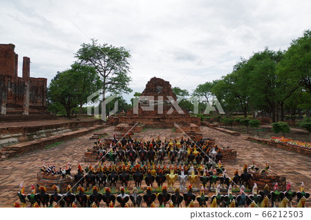 Thailand UNESCO World Heritage Site Ayutthaya Wat Thanmikarat Thailand UNESCO World Heritage Site Ayutthaya Wat Thanmikarat 66212503
