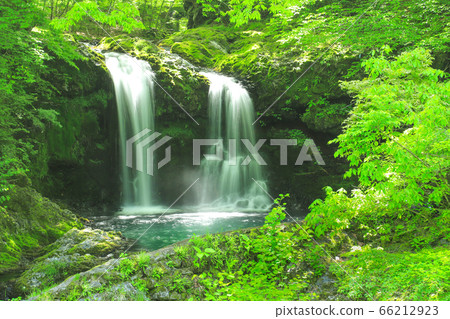 Fresh green waterfall of Kaneyama 66212923