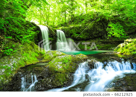 Fresh green waterfall of Kaneyama 66212925