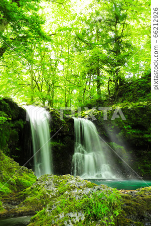 Fresh green waterfall of Kaneyama 66212926