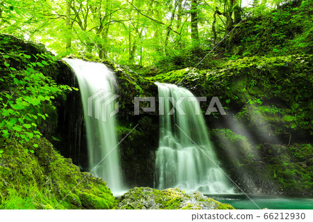 兼山的新鮮綠色瀑布 66212930