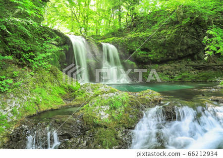 Fresh green waterfall of Kaneyama 66212934