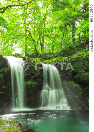 Fresh green waterfall of Kaneyama Fresh green waterfall of Kaneyama 66212940