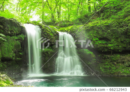 Fresh green waterfall of Kaneyama 66212943