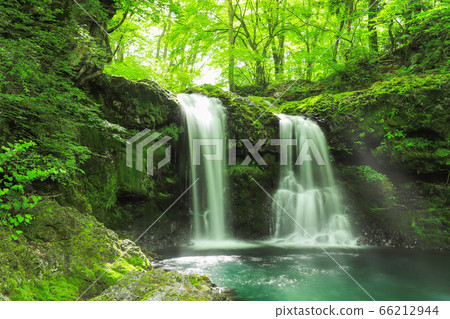 Fresh green waterfall of Kaneyama 66212944